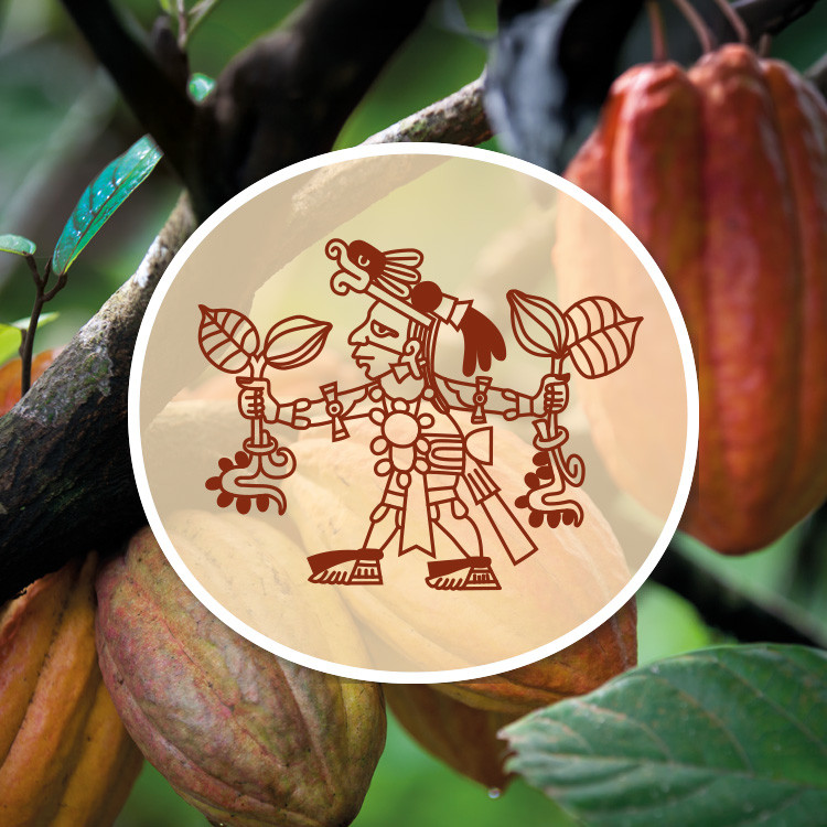 Xocolatl – Genussmoment