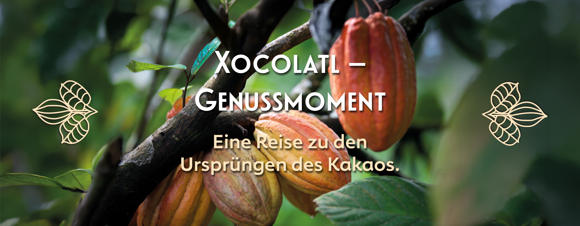 Xocolatl – Genussmoment